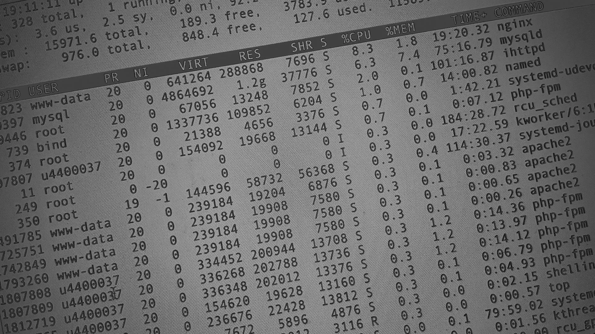 Настройка сервера в Кировске Настройка сервера в Кировске