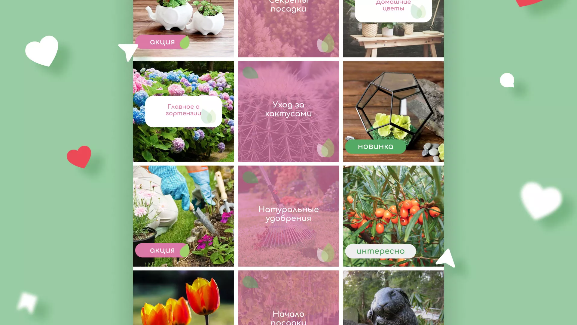 Разработка оформления профиля Instagram для магазина «Floraint» в Кировске