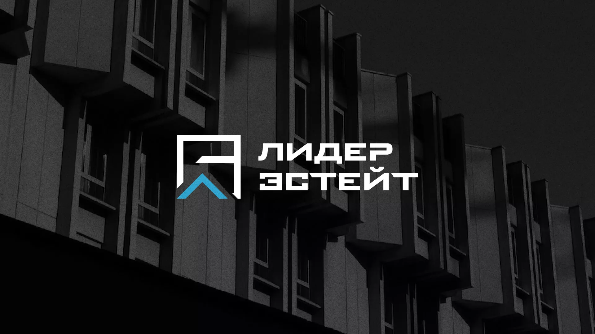 Разработка логотипа агентства недвижимости «Лидер Эстейт» в Кировске